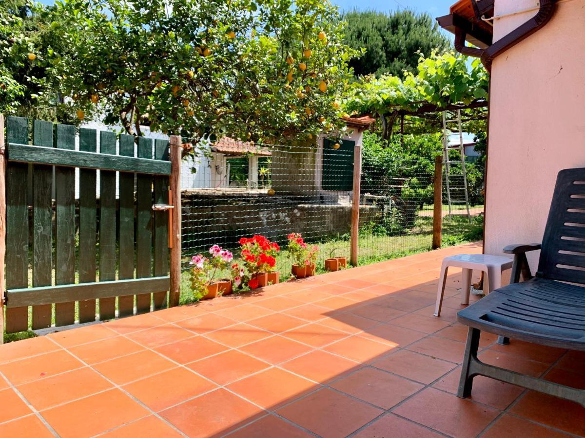 Casa Do Paco Aveiro Holidayhome Exteriör bild